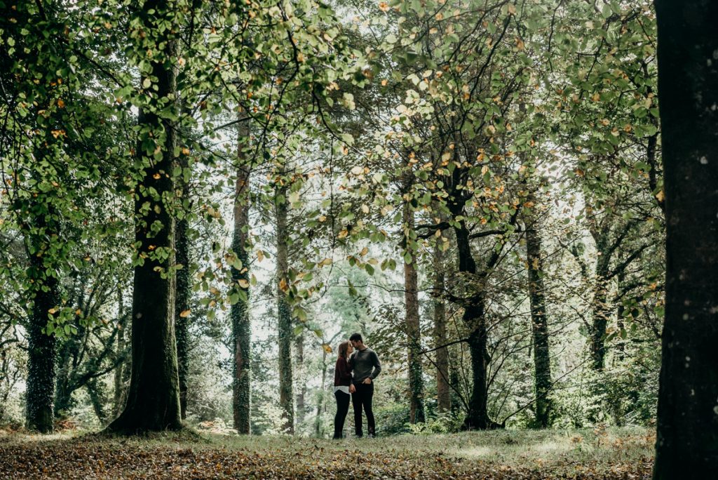 Dartmoor Engagement 