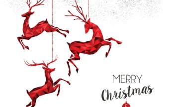 Merry Christmas Everyone!