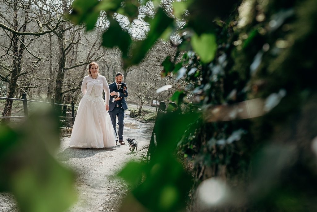 elopement