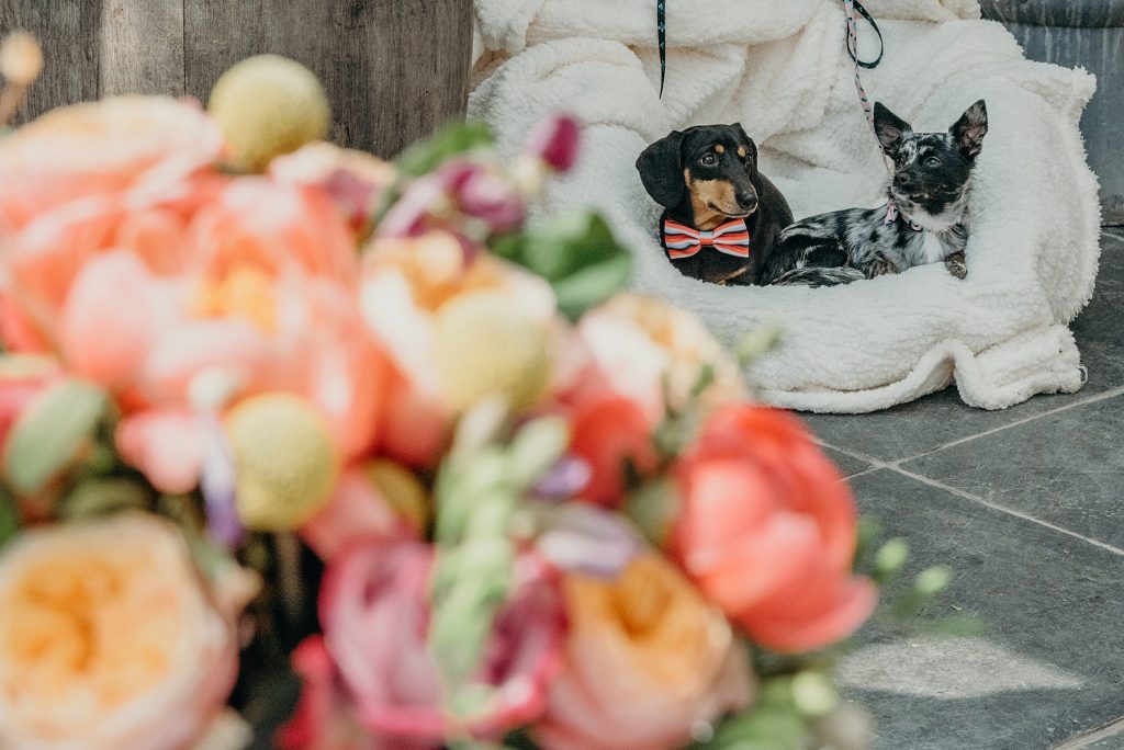 elopement