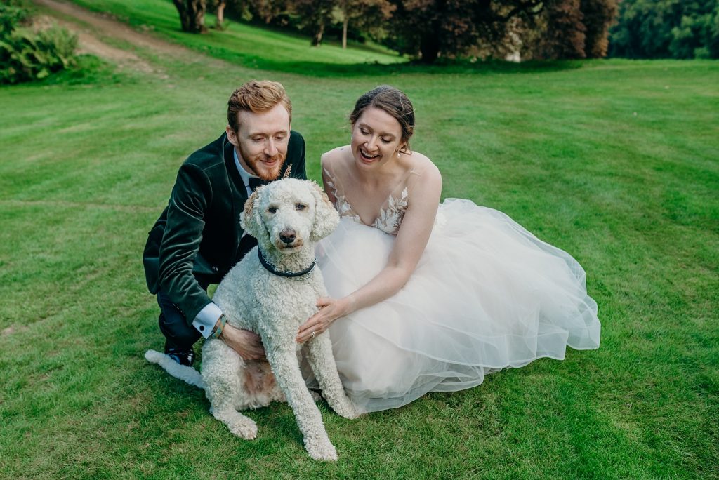 Hotel Endsleigh dogs