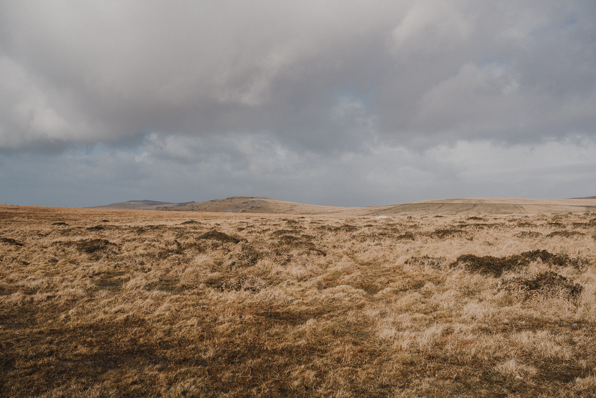 Dartmoor landscape