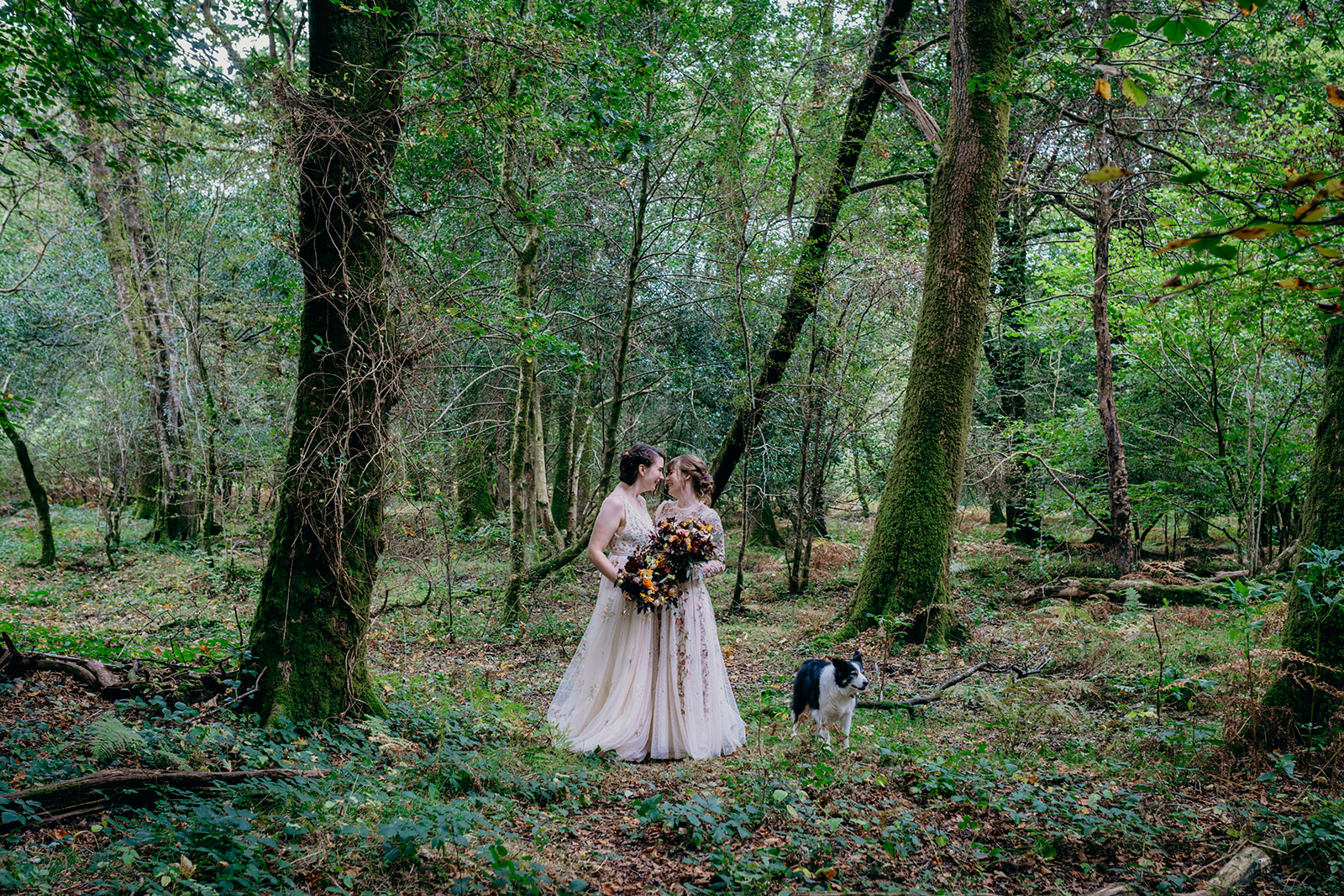 same sex wedding Dartmoor