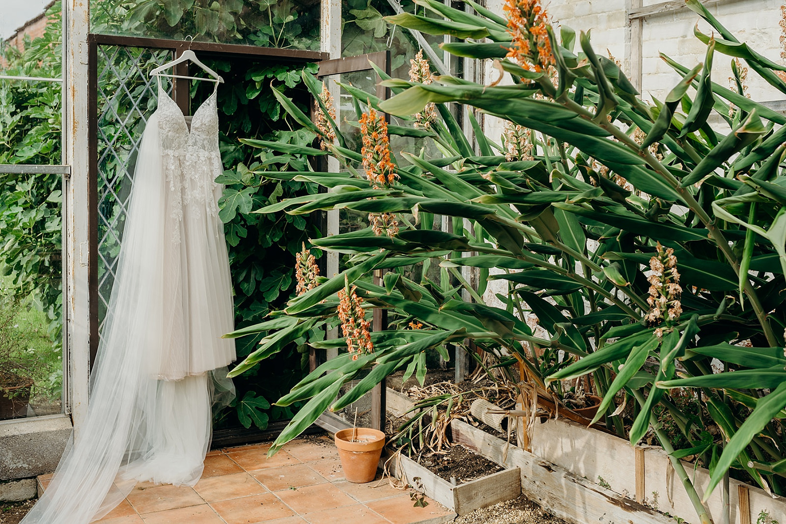 Cadhay Wedding Photographer