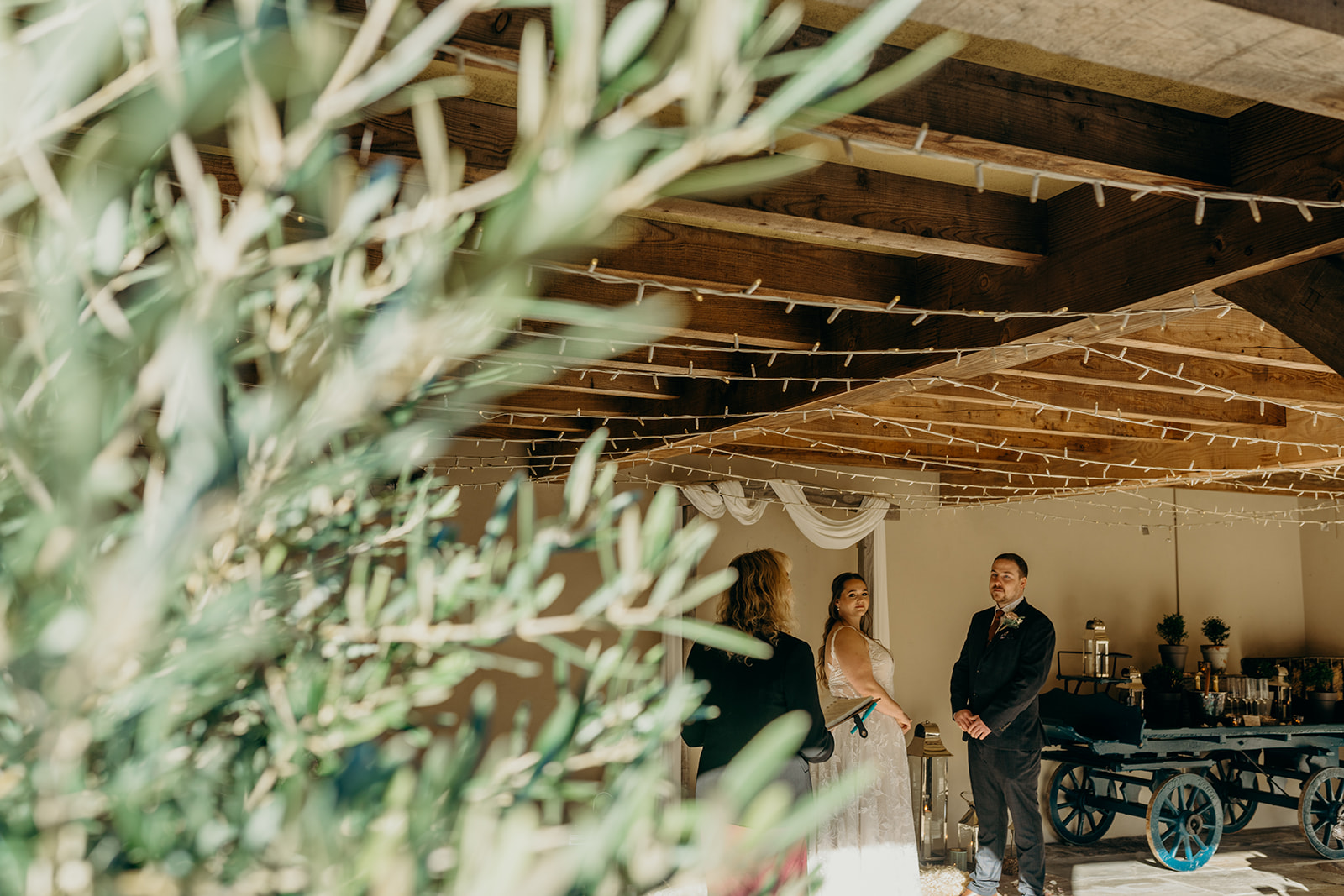 elopement devon