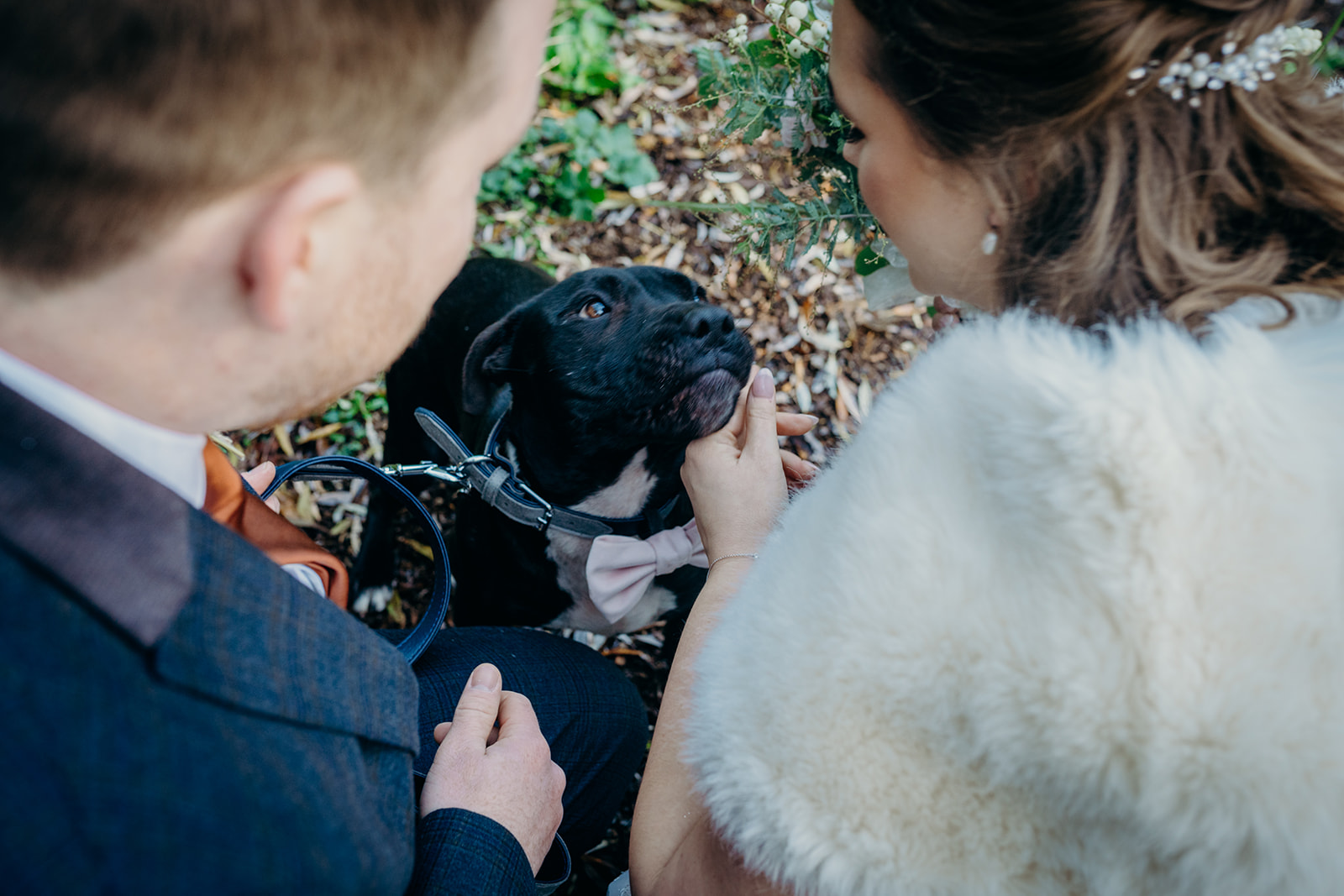elopement devon