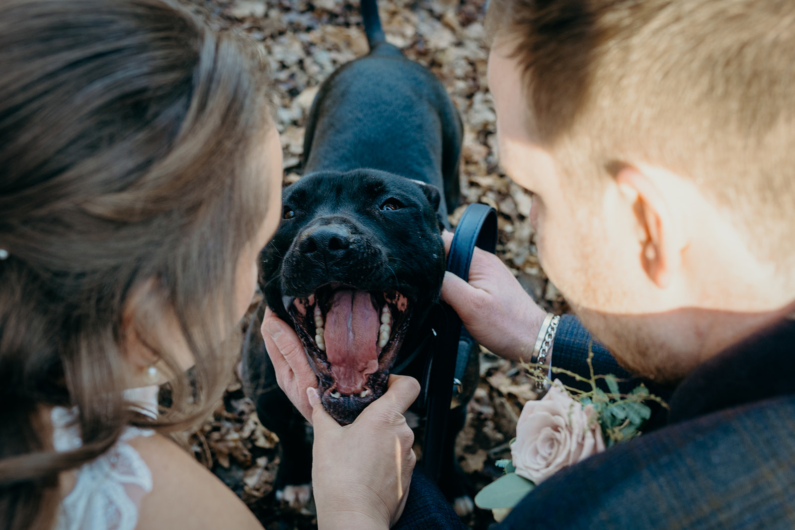 forest elopement Devon