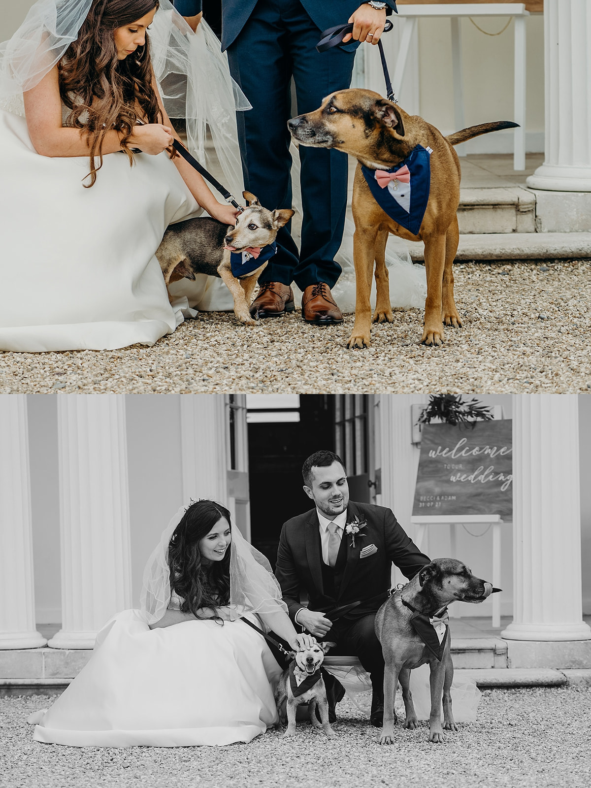 rockbeare wedding photographer